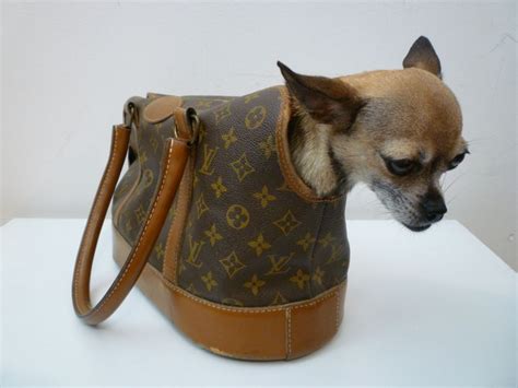 borsa chihuahua louis vuitton|louis vuitton hobo purses.